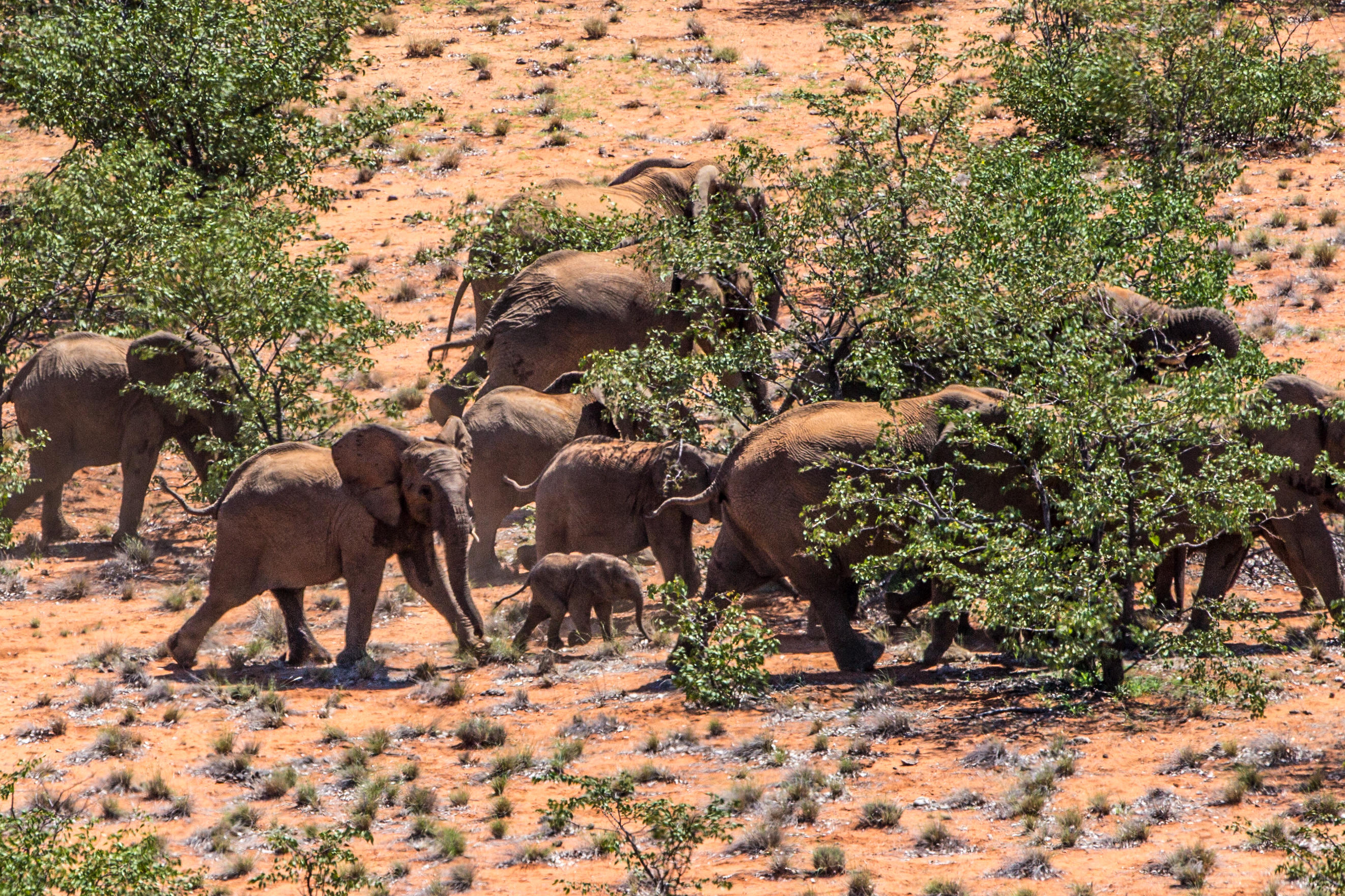 Grootberg Lodge thumbnail 2